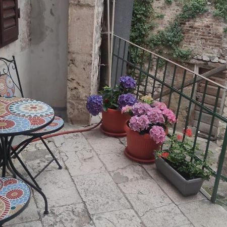 Apartman Zen In The Centar Of Šibenik Eksteriør billede